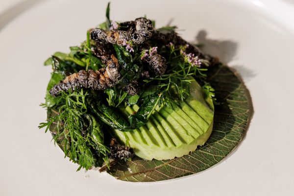 Crunch into deep-fried caterpillars in this tacos.