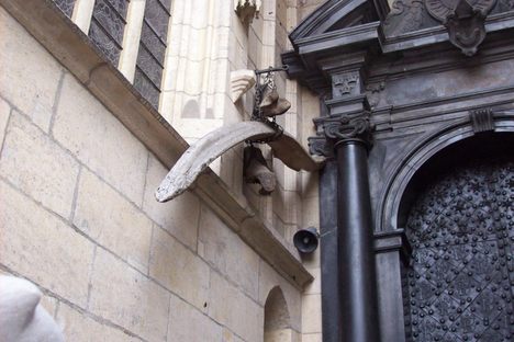 The bones of the Wawel dragon.