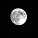 Yax profile photo
