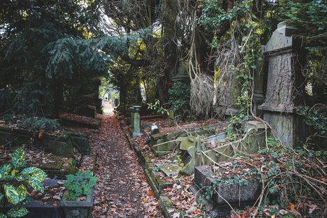 Dieweg Cemetery