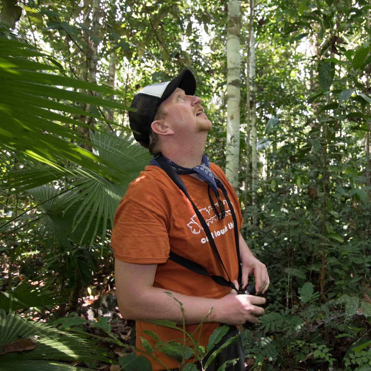 Entomologist Eli Wyman observes a termite mound on the trunk of a tree with an interesting hole resembling an entrance.