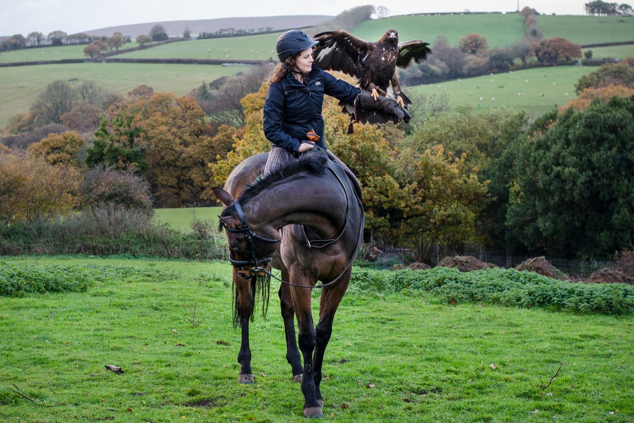 Caymans the horse, Floki the eagle, and me toward the end of my lesson at Dartmoor Hawking. 