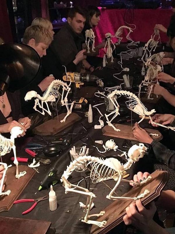 Students working on their skeletons. 