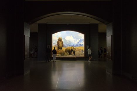 Hall of North American Mammals