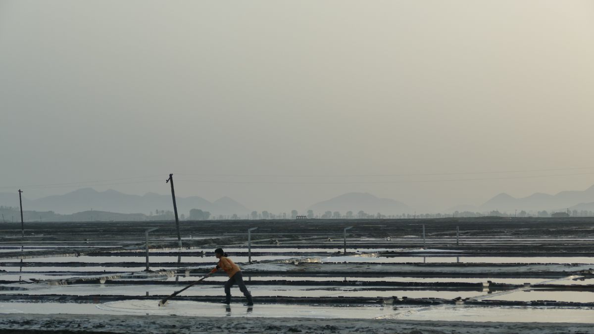 A North Korean laborer works in salt beds.