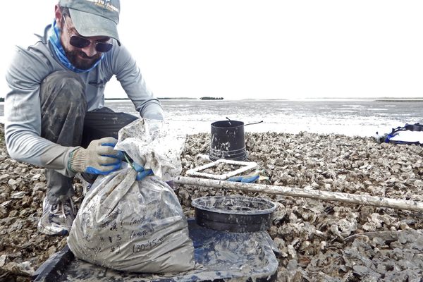 Paleontologist Stephen Durham closes up a bag of oyster samples on the Florida coast, where conservationists are preparing for the future by reconstructing the past.