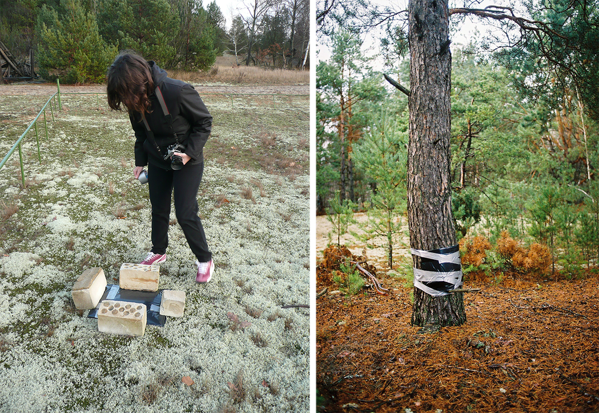 Miceli (left) examines a film plate placed on the ground. She also attached them directly to objects (right).