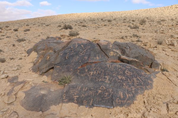 Tribal symbols known as wusum attest to the ongoing presence of Bedouins in the desert. 