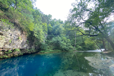 The Blue Spring drains into the Current River.