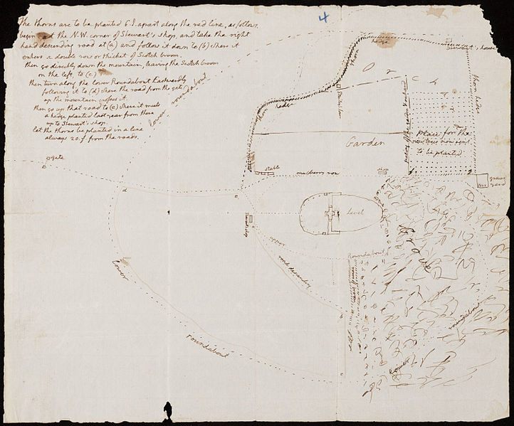 Drawing of gardens