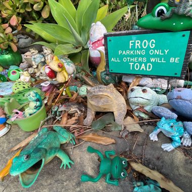 Wall of Frogs