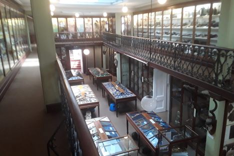 Looking down from upper gallery