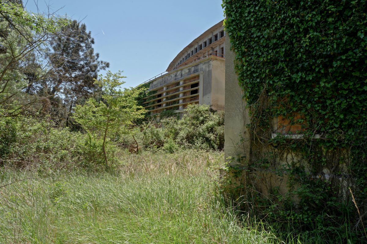 The Colonia Varese is actively being reclaimed by nature.