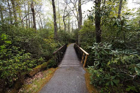 The area includes trails and paths.
