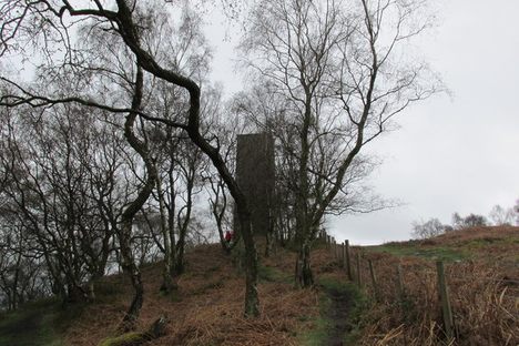 Earl Grey Tower