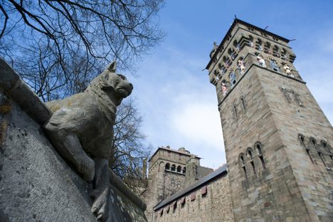 Lynx and castle clocktower