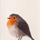 Little Bird profile photo