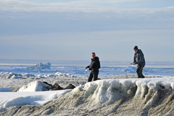 Researchers took samples from the new island during a July 2020 expedition.