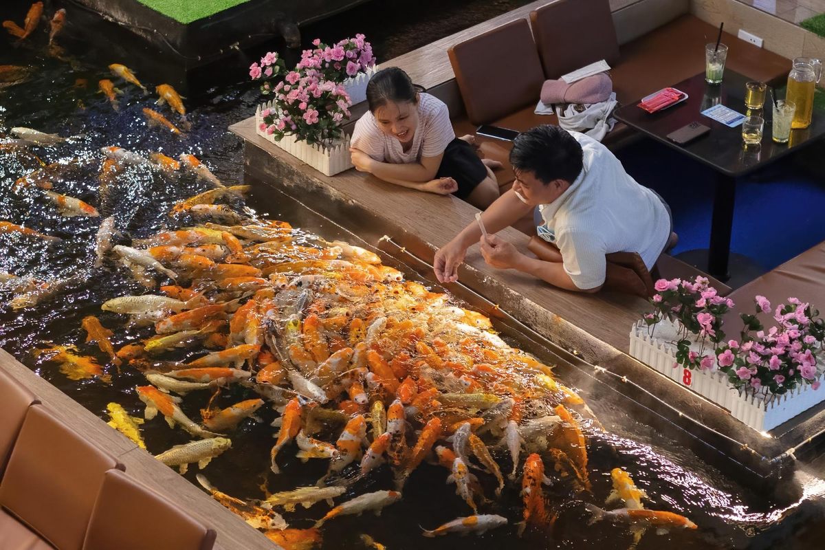 Guests feed fish at Koi Garden Coffee in Ho Chi Minh City’s District 5.