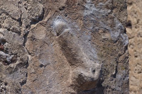 Stone penis.