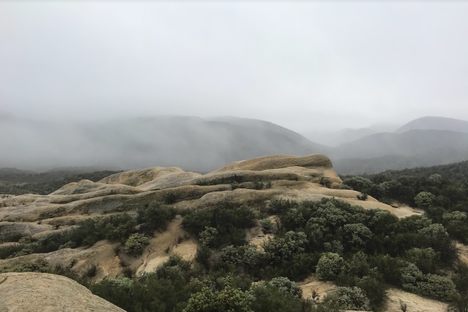 Rare foggy day