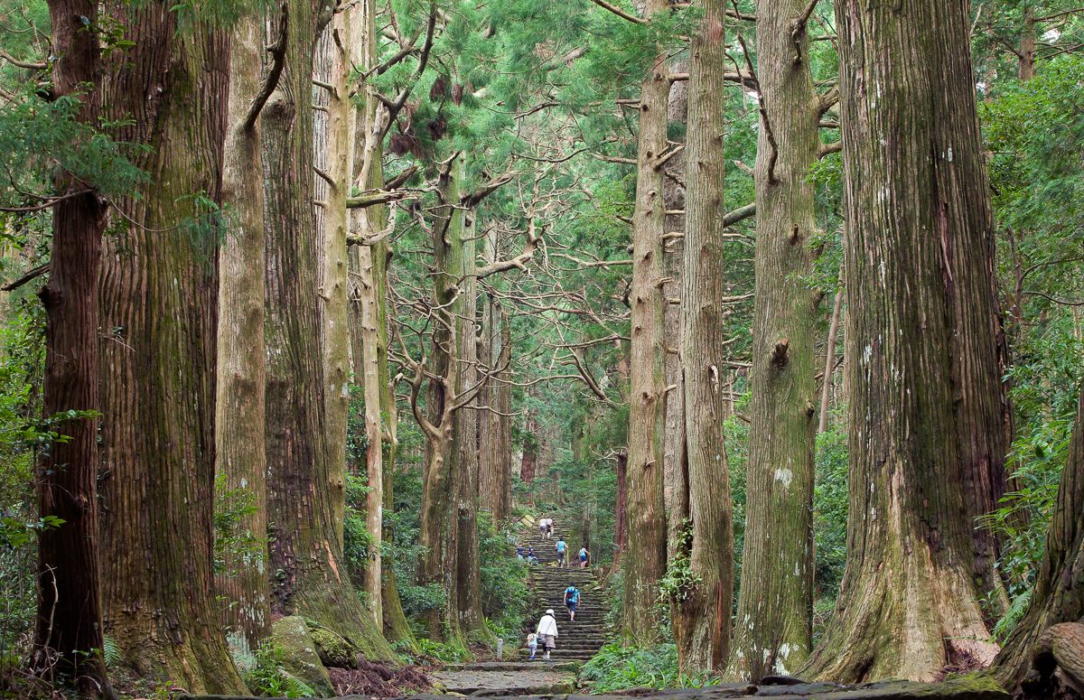 Hiking Kumano Kodo, a Remote Ancient Pilgrimage Route in Japan