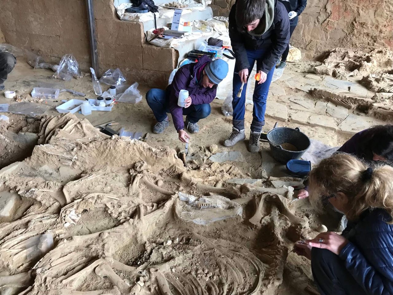 Team members have found the bones of more than 50 animals sacrificed in a courtyard at Casas del Turuñuelo.