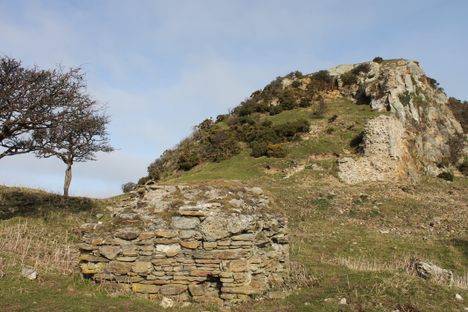 Deganwy Castle
