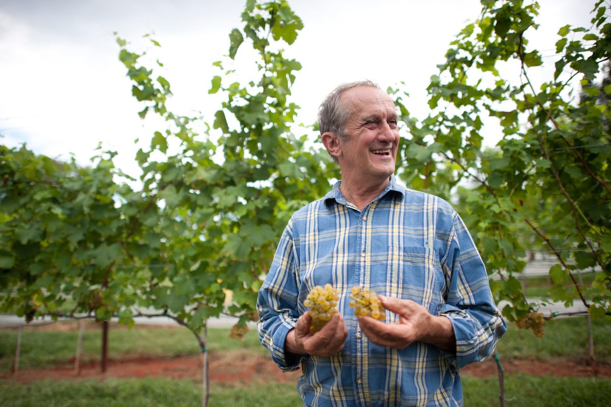 Gabriele Rausse, Monticello’s Director of Gardens and Grounds, launched Virginia’s first successful vineyard and is considered the “Father of Virginia Wine.”