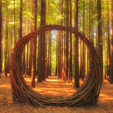 The portal made of sticks at the Redwood Forest.
