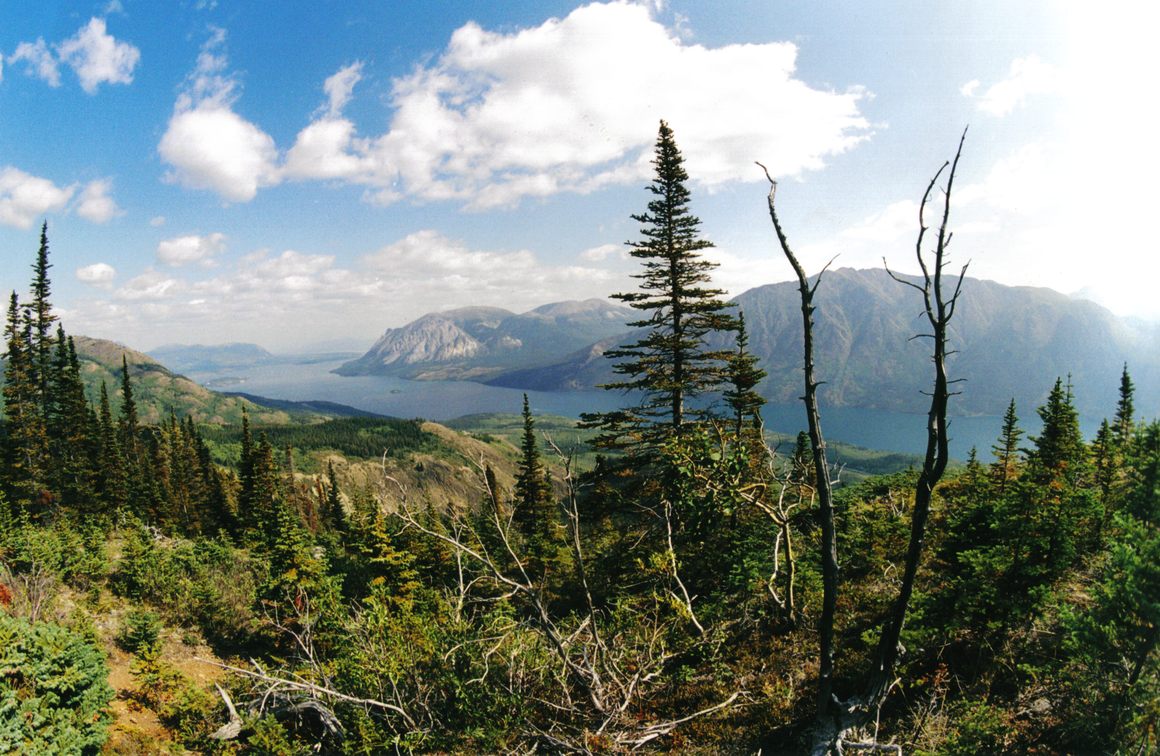 The Yukon as seen from Montana Mountain.