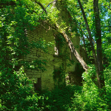 Monarch Wine Company Ruins, June 2016