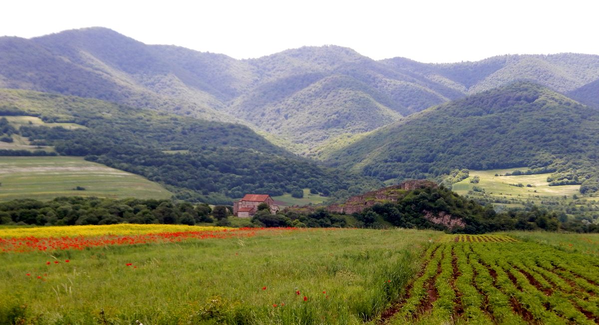 The Dmanisi promontory, recognizable by the medieval fortress, rises above farmland and deep river valleys.