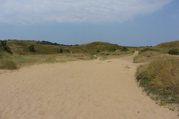 Merthyr Mawr
