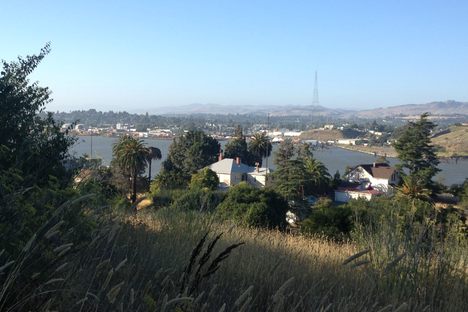 Notes From the Field: The Abandonment and Beauty of a Bay Area Island and Its Cemetery