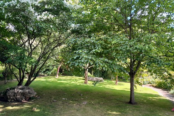 View of the center of the garden