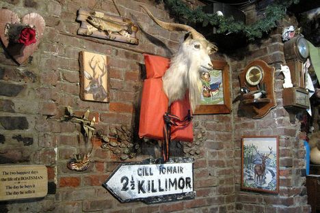 One of the many pieces of taxidermy.