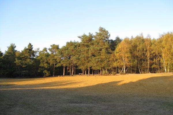 Horsell Common Sandpit