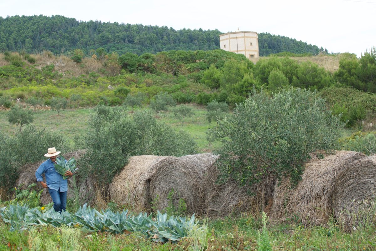 The ranch and farm still occupy much of the artist's time.