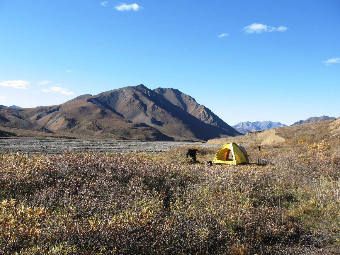 Toklat River campsite