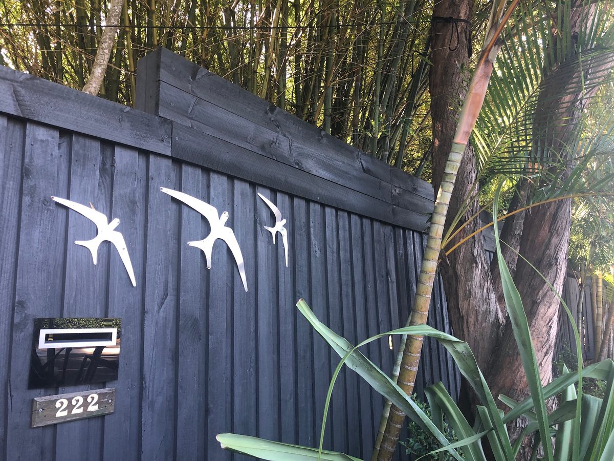 Birds on a fence.