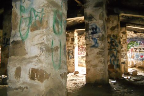 Root cellar