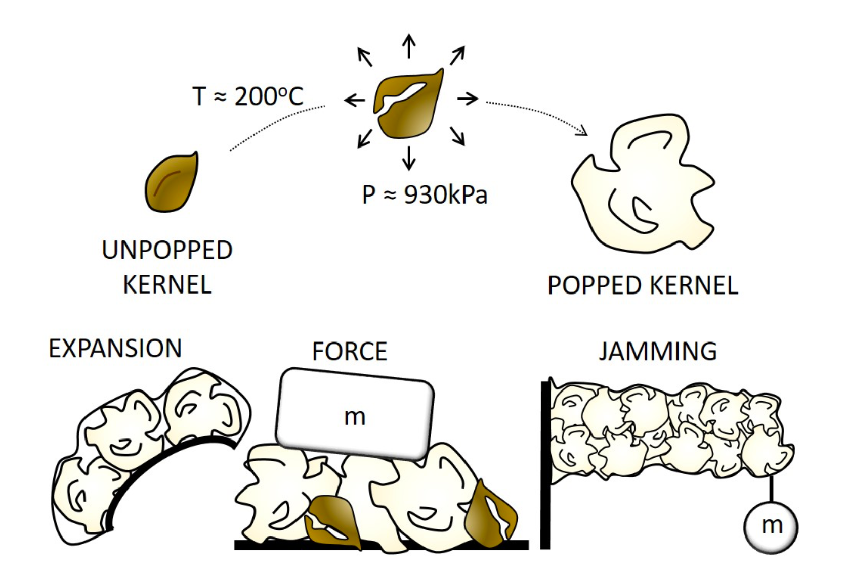 A few ways in which popcorn can power actuators.