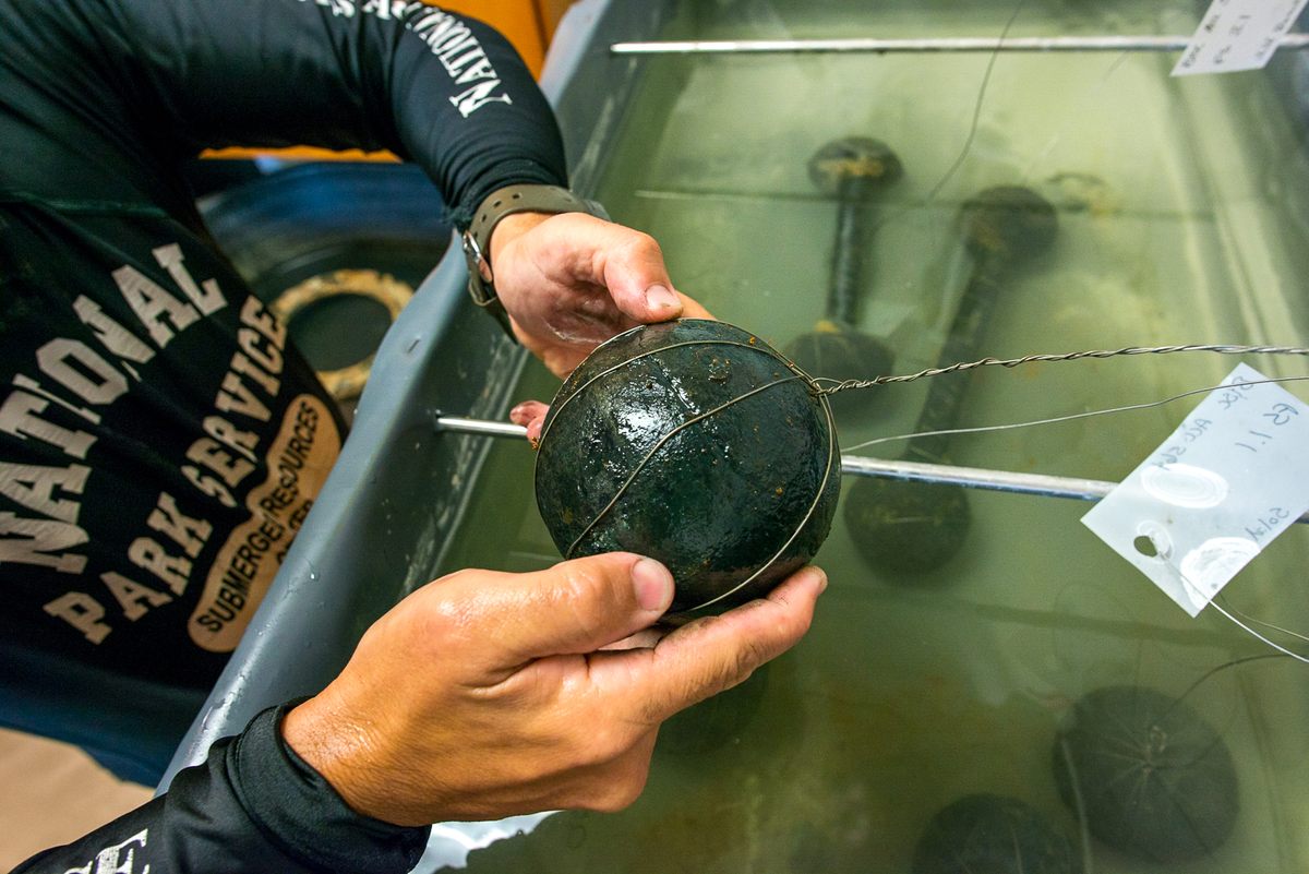 A cannon ball discovered in Biscayne National Park provided a promising lead but archaeologists eventually determined it did not belong to the <em>Guerrero</em>.
