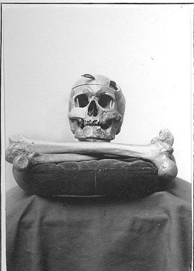 skull and bones tomb floor plan