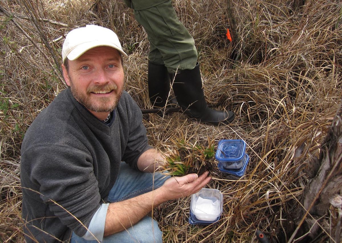 Danté Fenolio, president of the San Antonio Zoo’s Center for Conservation and Research, collects salamander eggs.