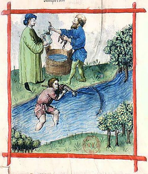 Fishing for lamprey, from the <em>Tacuinum Sanitatis</em>, a 15th-century text about health and medicine.