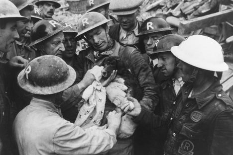 Rescue of a puppy during the Blitz, South London, c 1940. Wartime images and actions like this contrasted strongly with pre-conflict treatment of pets.