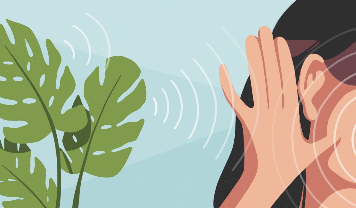 https://www.atlasobscura.com/articles/how-to-echolocate social preview image