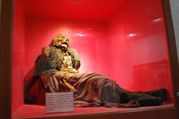The 19th-century mummified remains of an unknown woman. 